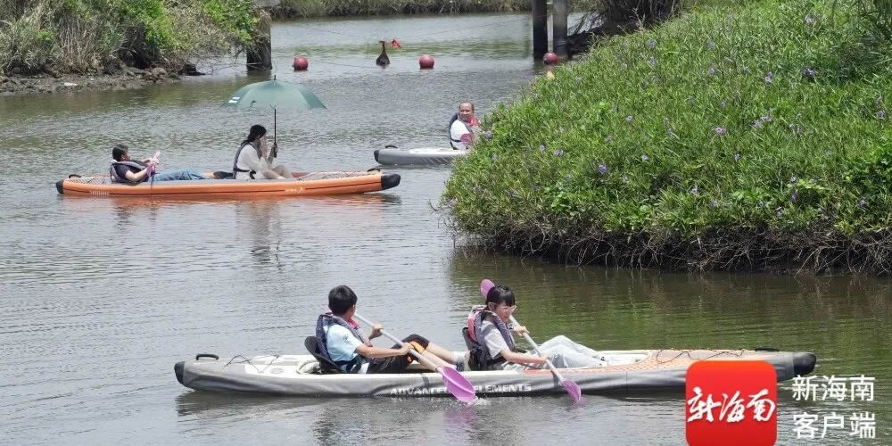 海南皇嘉传媒