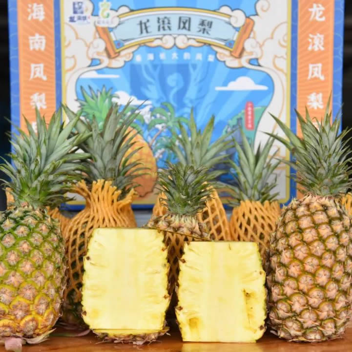 海南皇嘉文化传媒