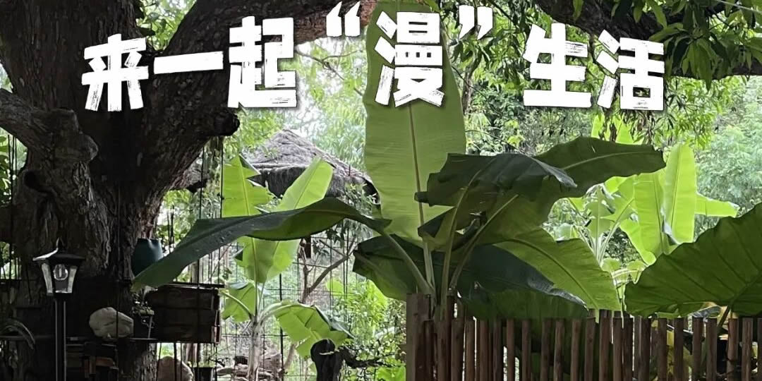 海南皇嘉传媒